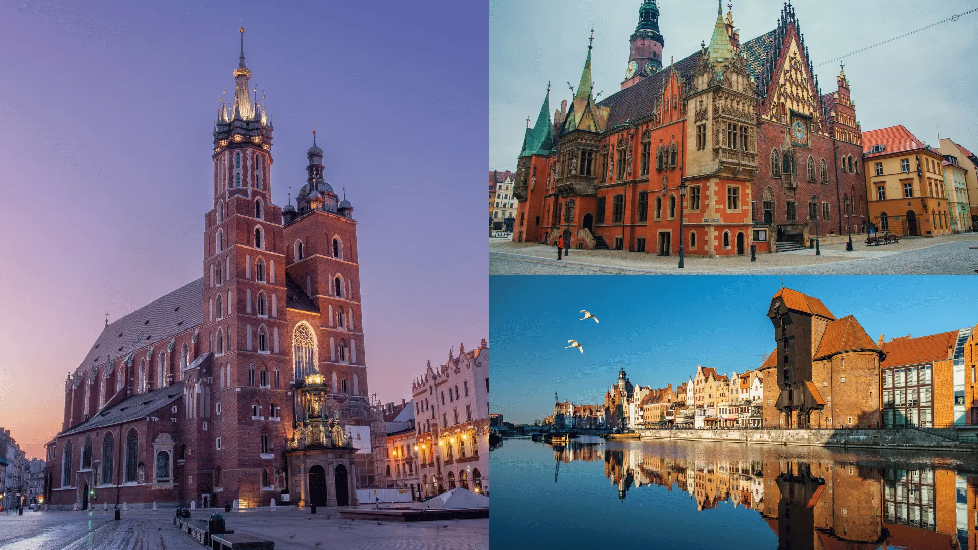 Adres do najmu okazjonalnego w Krakowie, Wrocławiu i Gdańsku – jak załatwić to online?