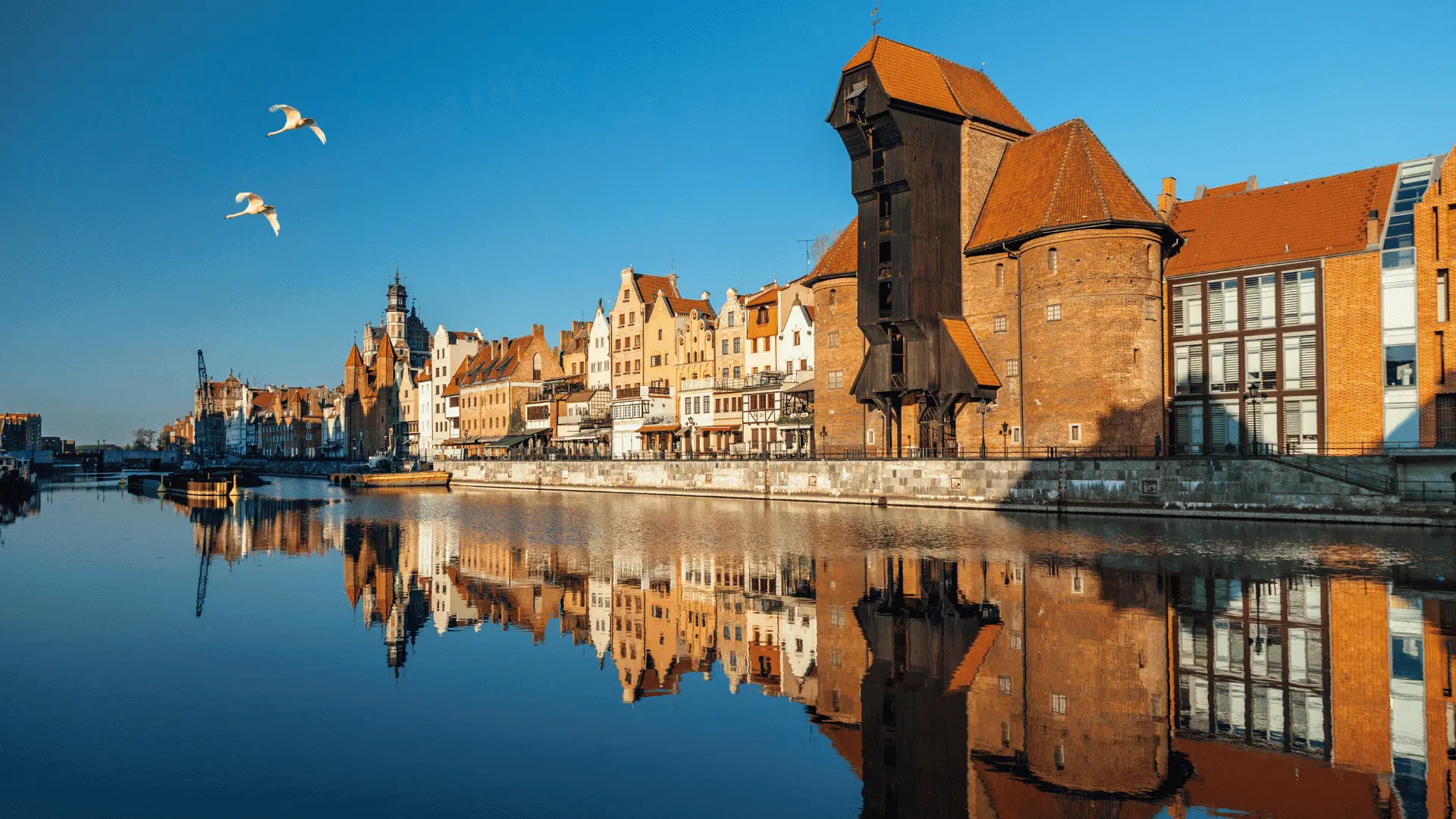 Gdzie kupić adres do najmu okazjonalnego w Gdańsku?
